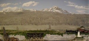 The backdrop of trees and mountains covered in snow. 